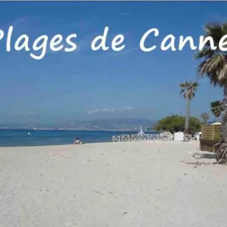 Centre , Magnifique , 5 Min Palais * Cannes