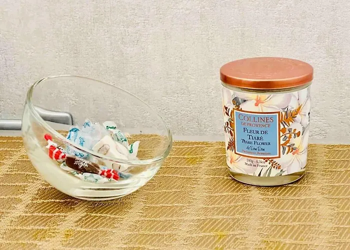 Centre , Magnifique , 5 Min Palais شقة