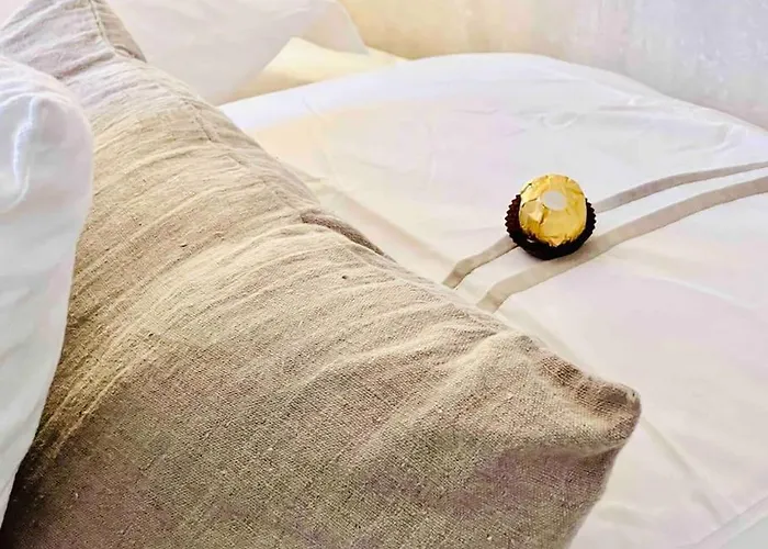 شقة Centre , Magnifique , 5 Min Palais *