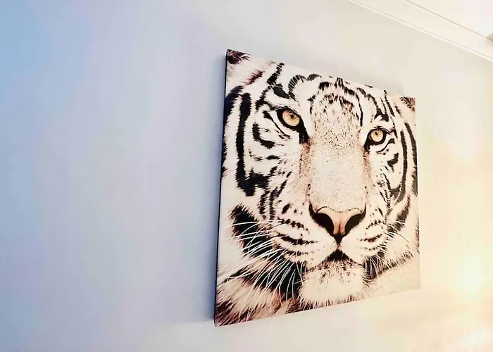 شقة Centre , Magnifique , 5 Min Palais